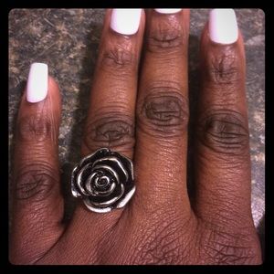 Stainless steel rise ring